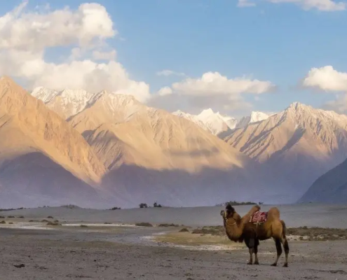 himalayan desert adventure tour